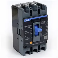 KOMPAKT ŞALTER 100 AMPER 1